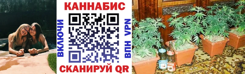 Купить наркотик Дубовка Конопля Амфетамин Псилоцибиновые грибы ГАШ Кетамин Метадон A PVP МЕФ