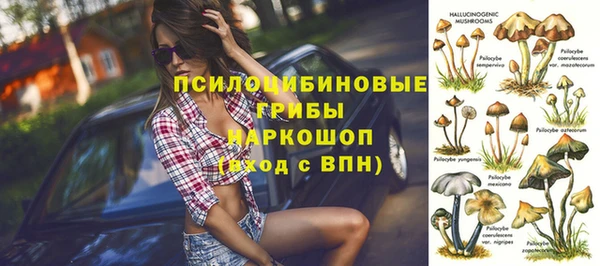 Альфа ПВП Гусь-Хрустальный