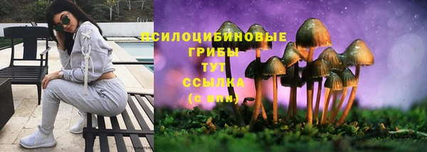 ALPHA-PVP Дмитриев