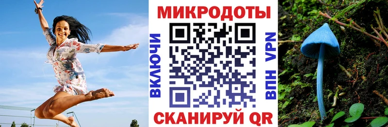 Галлюциногенные грибы мухоморы  Дубовка 